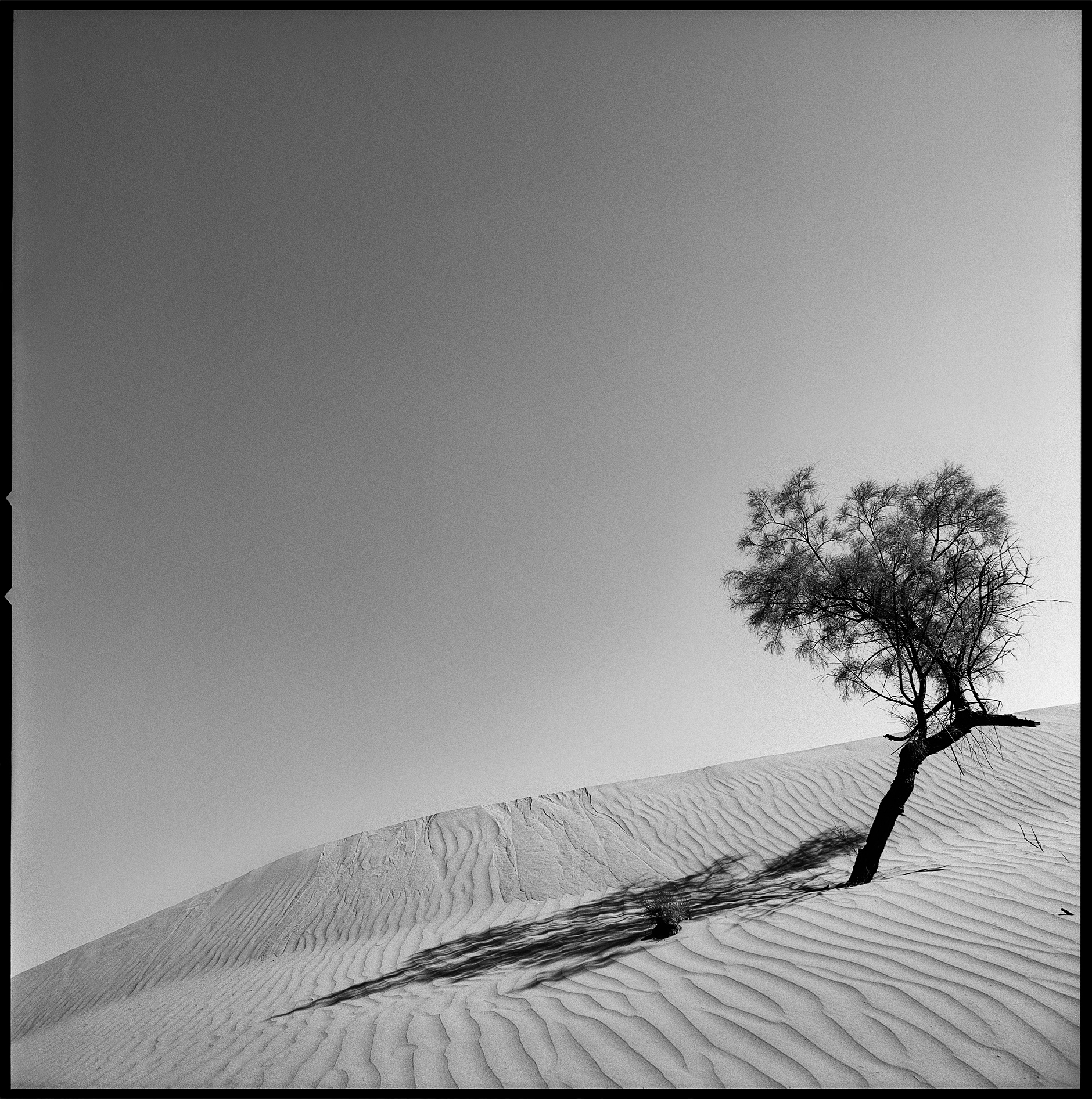 Moroccan Desert Safari - Analogue Artefacts